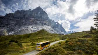 Hotel de montaña Grosse Scheidegg Hotel de montaña Grosse Scheidegg
